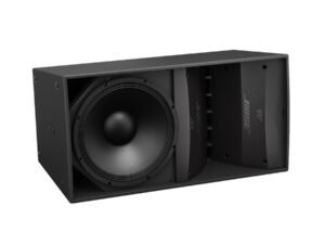 Bose ArenaMatch AM10