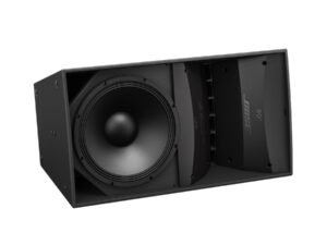 Bose ArenaMatch AM20