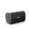 Bose DesignMax DM2S