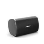 Bose DesignMax DM2S