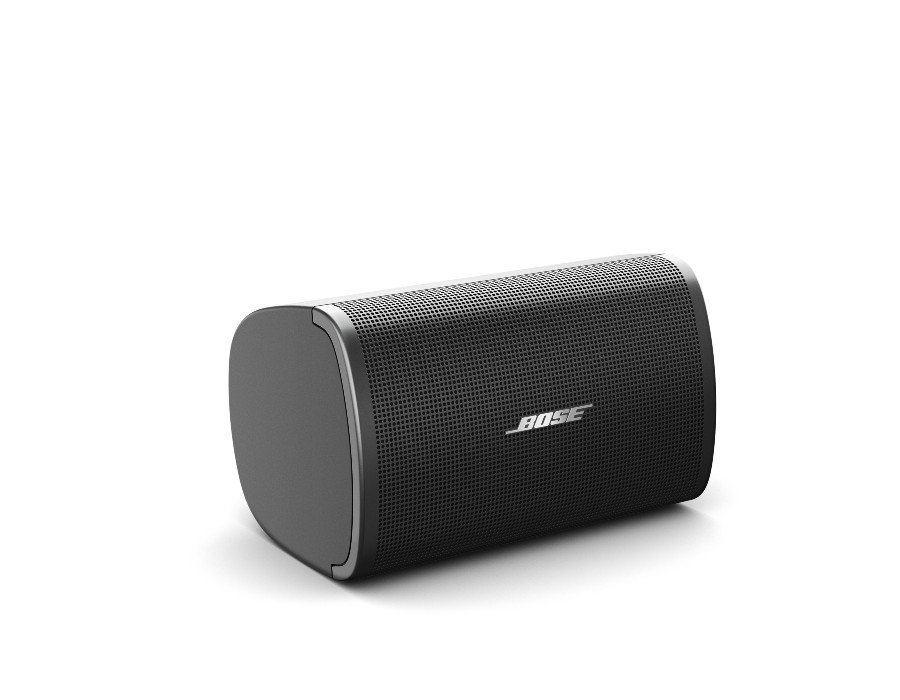 Bose DesignMax DM2S