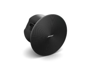 Bose DesignMax DM5C
