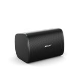 Bose DesignMax DM5SE