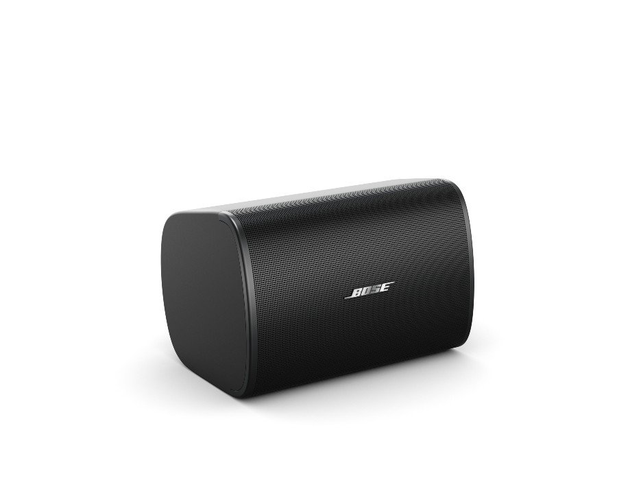Bose DesignMax DM5SE