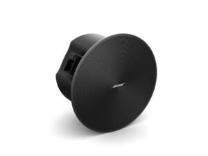 Bose DesignMax DM6C