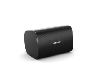 Bose DesignMax DM6SE
