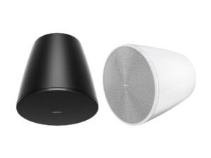 Bose DesignMax DM10P-SUB
