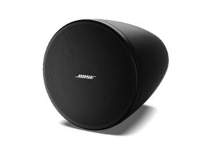 Bose DesignMax DM3P