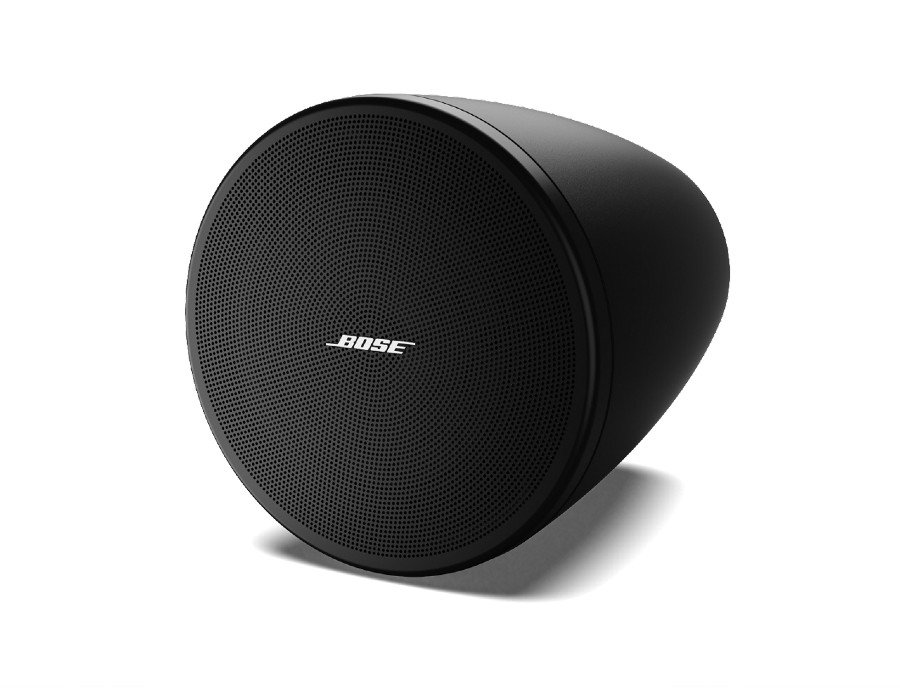 Bose DesignMax DM3P