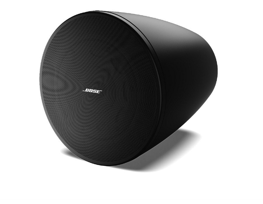 Bose DesignMax DM6PE