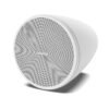 Bose DesignMax DM3P