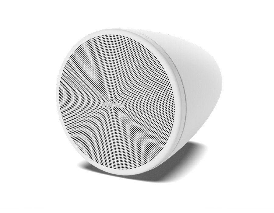 Bose DesignMax DM3P