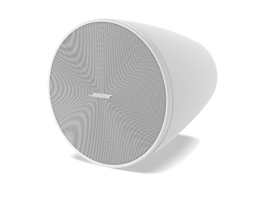 Bose DesignMax DM5P
