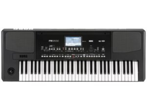 KORG Pa300