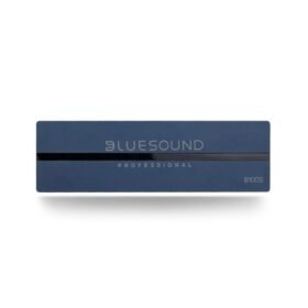 Bluesound B100S