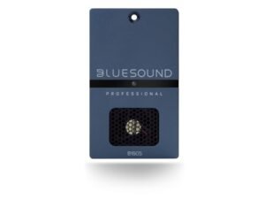 Bluesound B160S