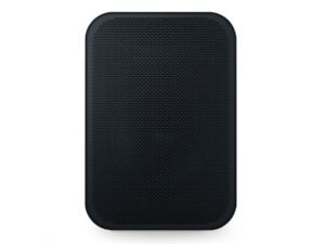 Bluesound BSP125